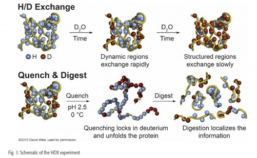IODOMETHANE-D3 use IODOMETHANE-D3 use