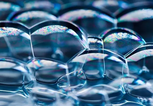 procaine hydrochloride-use | Shaanxi BLOOM Tech Co., Ltd procaine hydrochloride-use | Shaanxi BLOOM Tech Co., Ltd