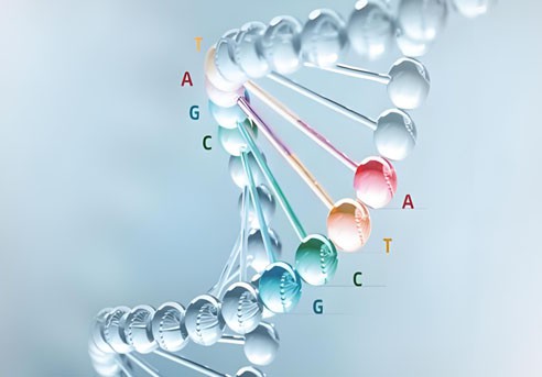 N-Boc-3-carboethoxy-4-piperidone-use | Shaanxi BLOOM Tech Co., Ltd N-Boc-3-carboethoxy-4-piperidone-use | Shaanxi BLOOM Tech Co., Ltd