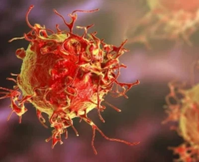 ivermectin tablets | Shaanxi BLOOM Tech Co., Ltd ivermectin tablets | Shaanxi BLOOM Tech Co., Ltd