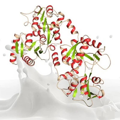 ivermectin tablets | Shaanxi BLOOM Tech Co., Ltd ivermectin tablets | Shaanxi BLOOM Tech Co., Ltd