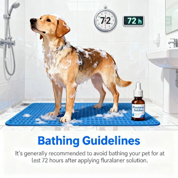 Considerations | Shaanxi Bloom Tech Considerations | Shaanxi Bloom Tech