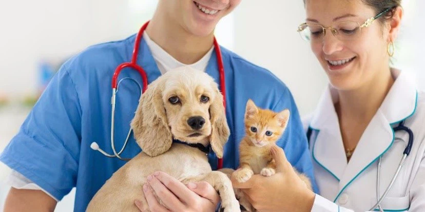 Fluralaner Drops Science Behind Fluralaner | Shaanxi Bloom Tech Fluralaner Drops Science Behind Fluralaner | Shaanxi Bloom Tech