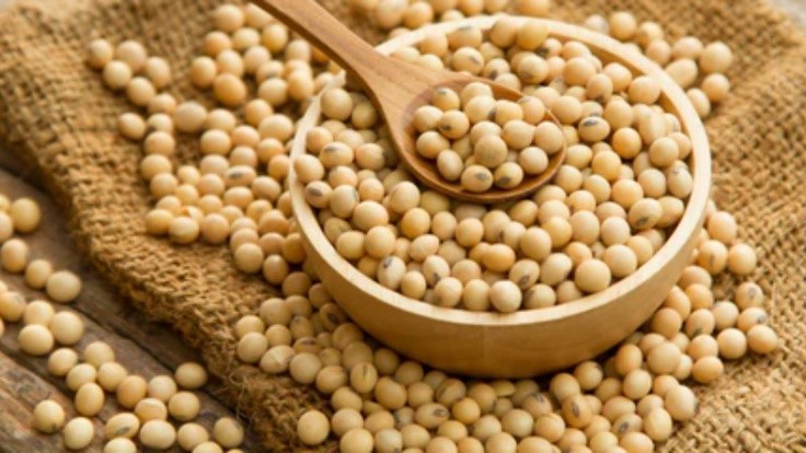 Spermidine Dietary Sources Of Spermidine | Shaanxi BLOOM Tech Co., Ltd Spermidine Dietary Sources Of Spermidine | Shaanxi BLOOM Tech Co., Ltd