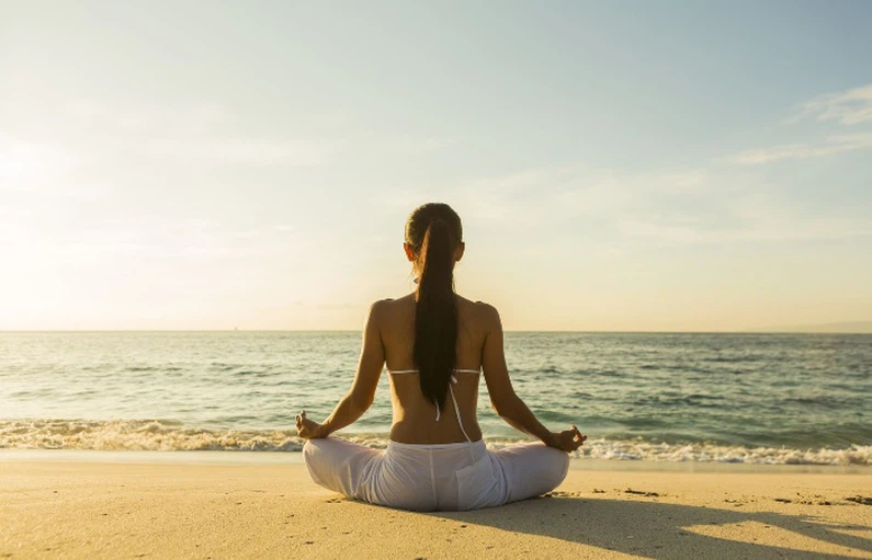 Spermidine Stress reduction techniques | Shaanxi BLOOM Tech Co., Ltd Spermidine Stress reduction techniques | Shaanxi BLOOM Tech Co., Ltd