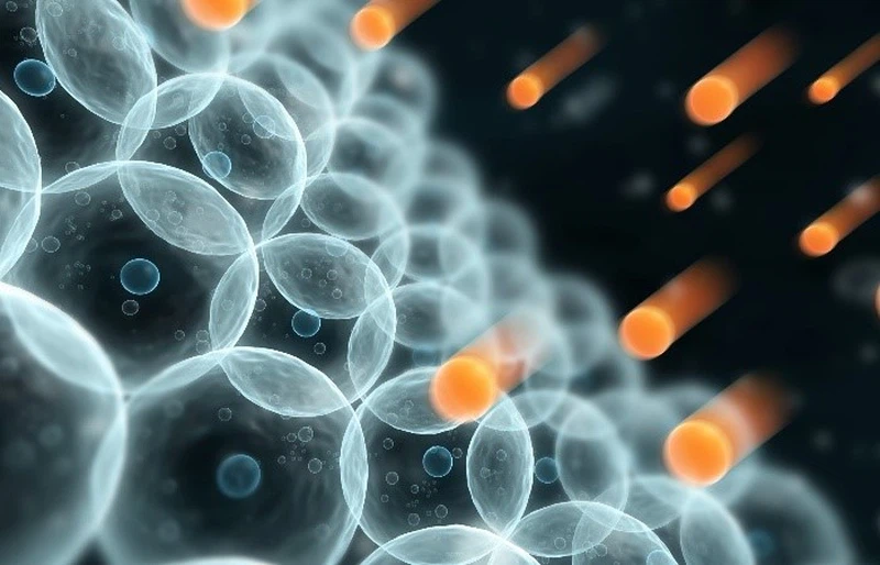 Spermidine Antioxidant Properties | Shaanxi BLOOM Tech Co., Ltd Spermidine Antioxidant Properties | Shaanxi BLOOM Tech Co., Ltd
