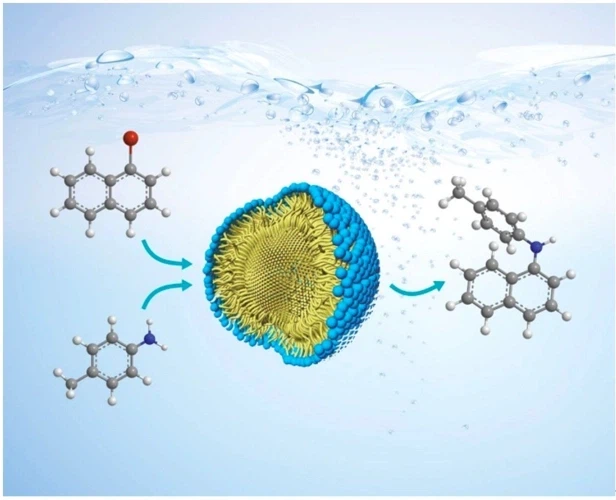 SLU-PP-332 Capsules use | Shaanxi BLOOM Tech Co., Ltd SLU-PP-332 Capsules use | Shaanxi BLOOM Tech Co., Ltd