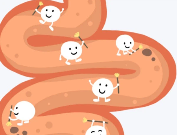 Bioglutide NA-931 Price | Shaanxi BLOOM Tech Co., Ltd Bioglutide NA-931 Price | Shaanxi BLOOM Tech Co., Ltd