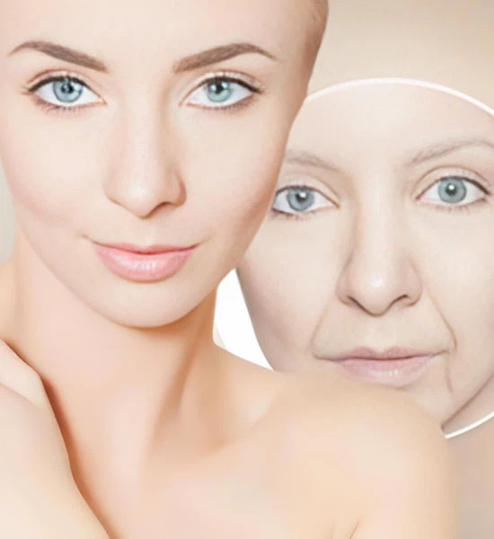 Glutathione Price | Shaanxi BLOOM Tech Co., Ltd Glutathione Price | Shaanxi BLOOM Tech Co., Ltd