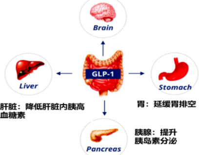 Bioglutide NA-931 Price | Shaanxi BLOOM Tech Co., Ltd Bioglutide NA-931 Price | Shaanxi BLOOM Tech Co., Ltd