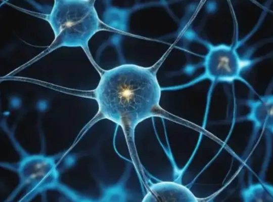 GS-441524 brain function | Shaanxi BLOOM Tech Co., Ltd