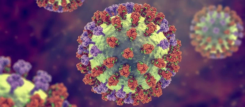 GS-441524 Antiviral | Shaanxi BLOOM Tech Co., Ltd