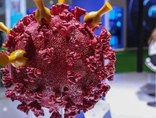 GS-441524 viral proteins | Shaanxi BLOOM Tech Co., Ltd GS-441524 viral proteins | Shaanxi BLOOM Tech Co., Ltd