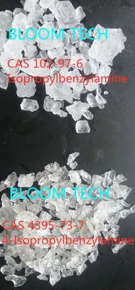 2A4P Isopropylbenzylamine CAS 102-97-6 | Shaanxi BLOOM Tech Co., Ltd 2A4P Isopropylbenzylamine CAS 102-97-6 | Shaanxi BLOOM Tech Co., Ltd