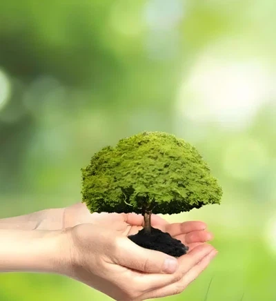 3-Thiopheneboronic Acid use | Shaanxi BLOOM Tech Co., Ltd 3-Thiopheneboronic Acid use | Shaanxi BLOOM Tech Co., Ltd