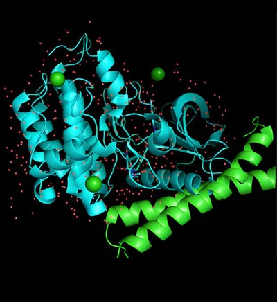 HMG Peptide use | Shaanxi BLOOM Tech Co., Ltd HMG Peptide use | Shaanxi BLOOM Tech Co., Ltd