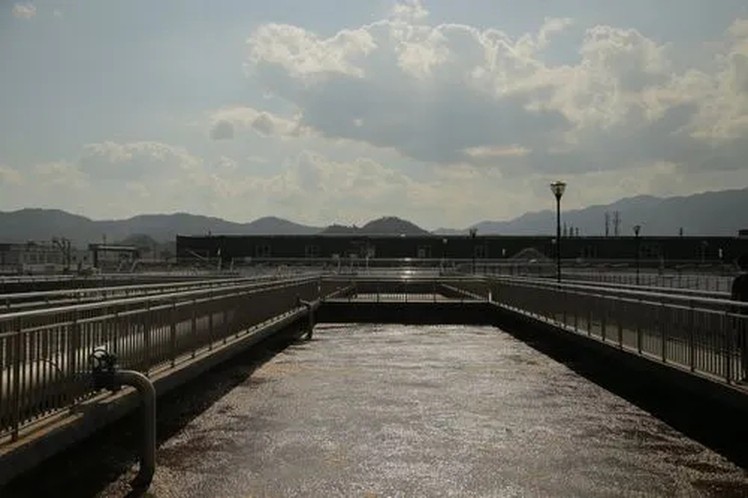 Dextran Sulfate Sodium Salt | Shaanxi Bloom Tech Dextran Sulfate Sodium Salt | Shaanxi Bloom Tech