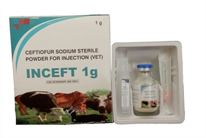 Inyección de clorhidrato de ceftiofur